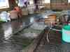 Visiting floating houses and fish farms