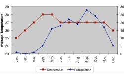 Climate