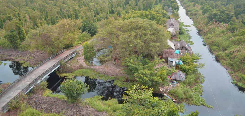 U Minh Urwald - U Minh Thuong Nationalpark