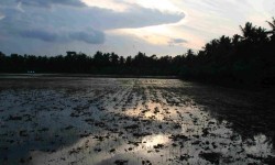 The Mekong-Delta: Treasure chamber of nature