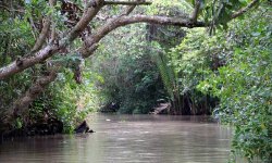 Ben Tre - Kokosnussmetropole 