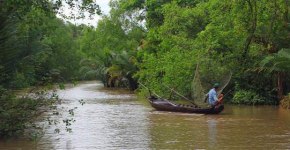 Zahlreiche neue Tierarten am Mekong entdeckt